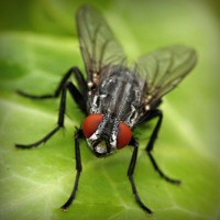 /album/sopulmoncre/photolia-a01-jpg/