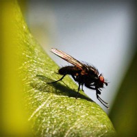 /album/sopulmoncre/photolia-a04-jpg/