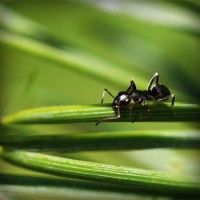 /album/sopulmoncre/photolia-a05-jpg/