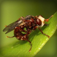 /album/sopulmoncre/photolia-a06-jpg/