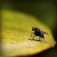 /album/sopulmoncre/photolia-a07-jpg/