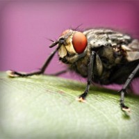 /album/sopulmoncre/photolia-a08-jpg/